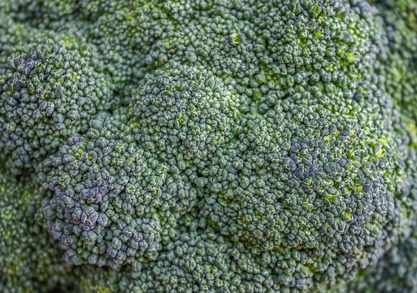 Quel est le meilleur format d'image pour le tirage de vos photos ?