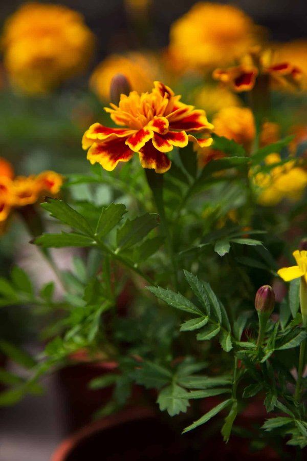 comment bien choisir son fond de teint selon sa carnation